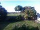 26 McKenzie Drive, Low Head TAS 7253