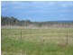 1583 East Tamar Highway, Dilston TAS 7252