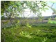 1583 East Tamar Highway, Dilston TAS 7252