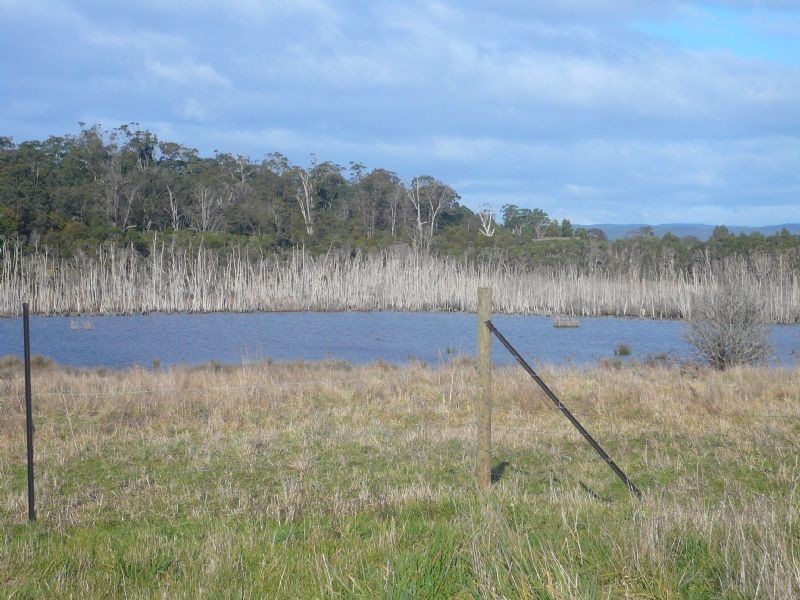 1583 East Tamar Highway, Dilston TAS 7252