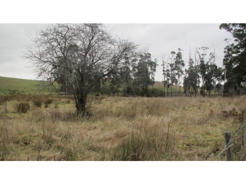 1535 Pipers River Road, Karoola TAS 7267