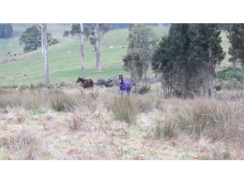 1535 Pipers River Road, Karoola TAS 7267