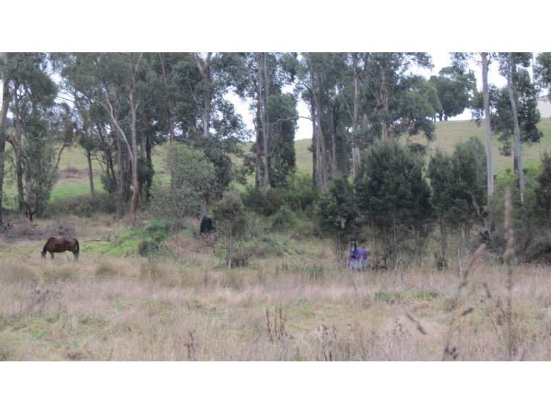 1535 Pipers River Road, Karoola TAS 7267