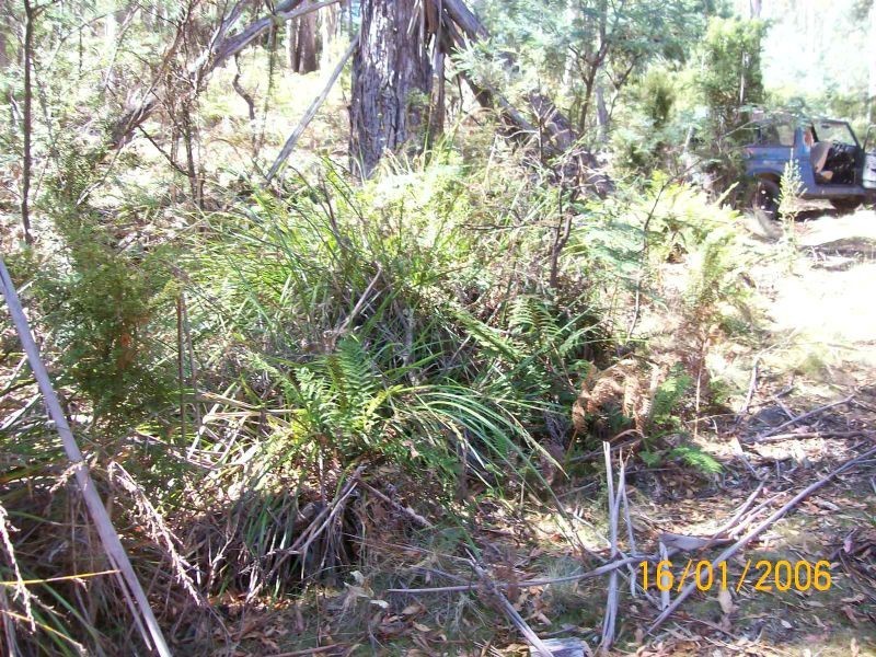 821 Bridgenorth Road, Bridgenorth TAS 7277