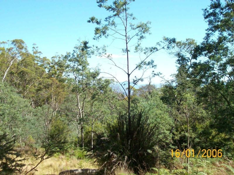 821 Bridgenorth Road, Bridgenorth TAS 7277