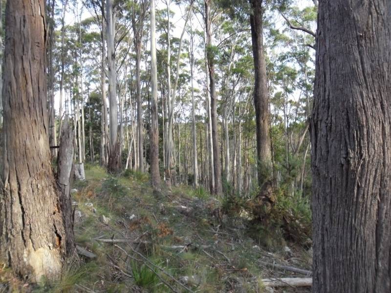 821 Bridgenorth Road, Bridgenorth TAS 7277