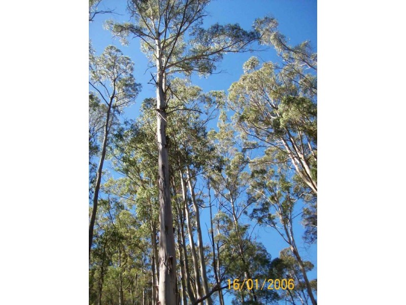 821 Bridgenorth Road, Bridgenorth TAS 7277