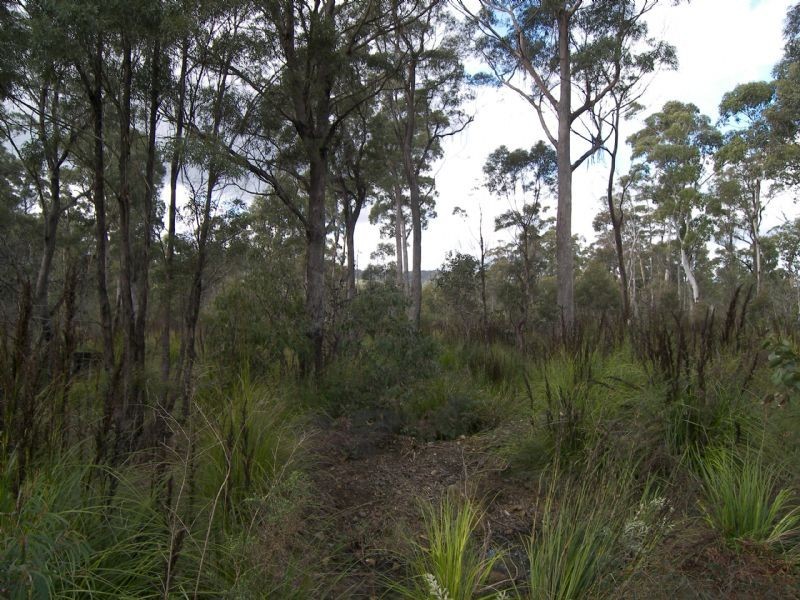 306 Prossers Road, Nunamara TAS 7259