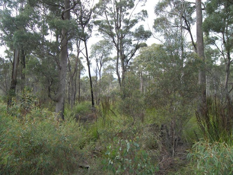 306 Prossers Road, Nunamara TAS 7259