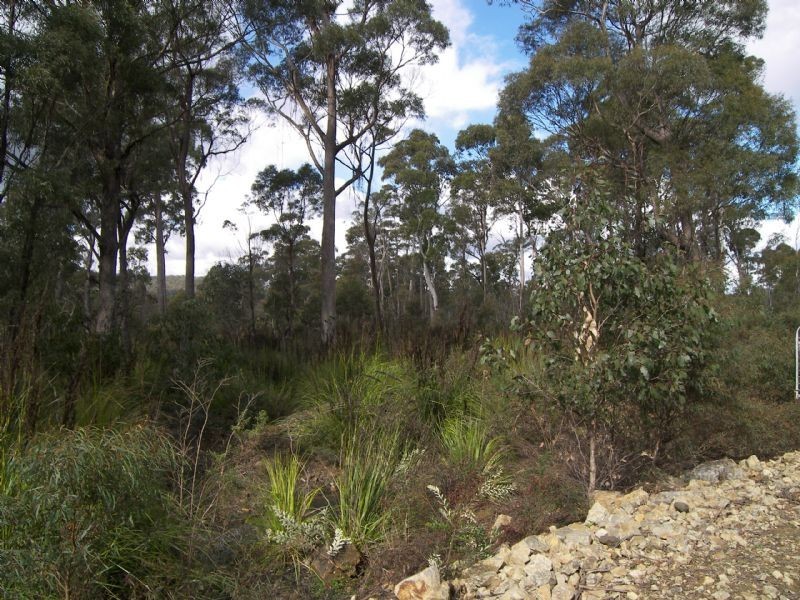 442 Prossers Road, Nunamara TAS 7259