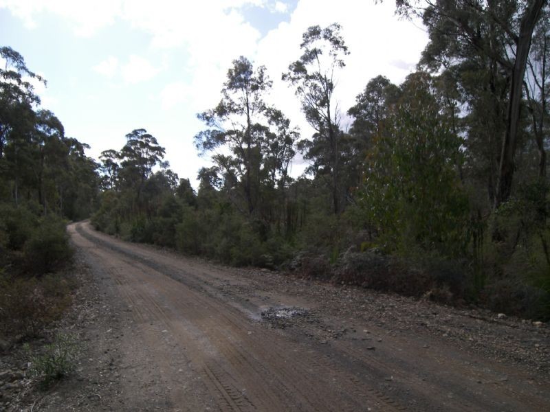 442 Prossers Road, Nunamara TAS 7259