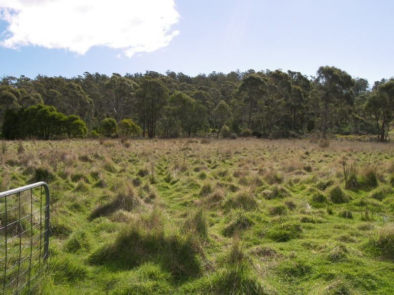 1081 Ecclestone Road, Riverside TAS 7250