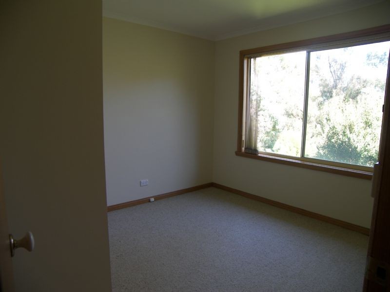 102 Windermere Road, Windermere TAS 7252