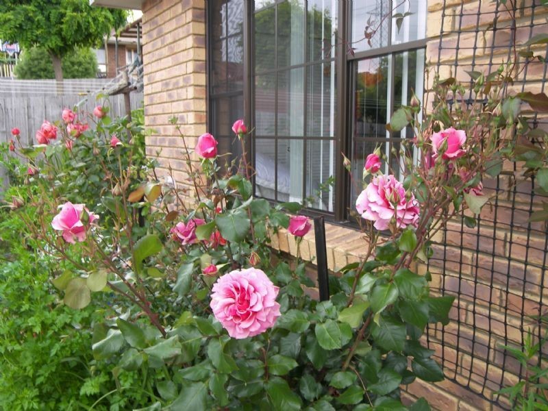 23 Havenbrook Drive, Trevallyn TAS 7250