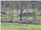 544 Long Plains Road, Bridgenorth TAS 7277