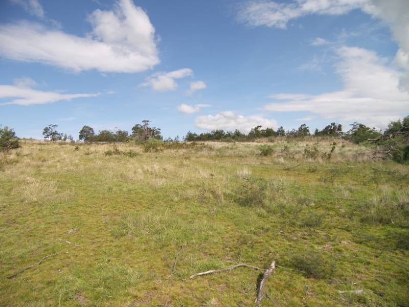 2/40 Fairtlough Street, Perth TAS 7300