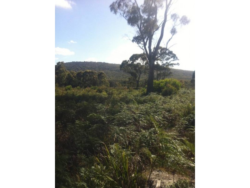 0 Main Road, George Town TAS 7253