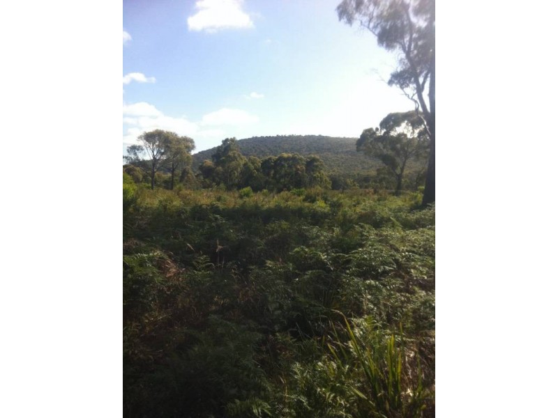 0 Main Road, George Town TAS 7253