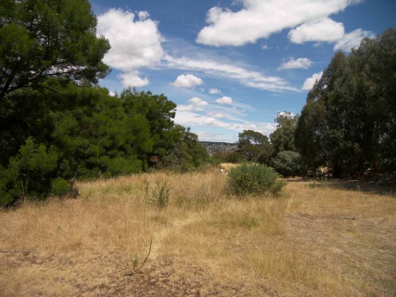 113a Ravenswood Road, Ravenswood TAS 7250