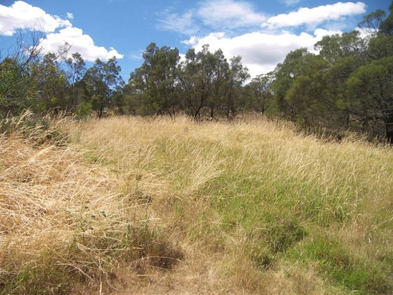 113a Ravenswood Road, Ravenswood TAS 7250