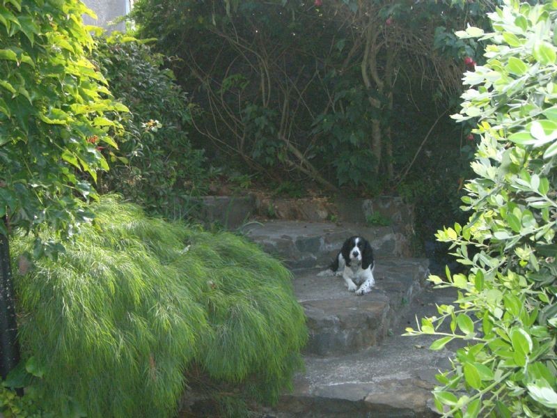 90 Forest Road, Trevallyn TAS 7250