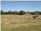 797 Windermere Road, Swan Bay TAS 7252