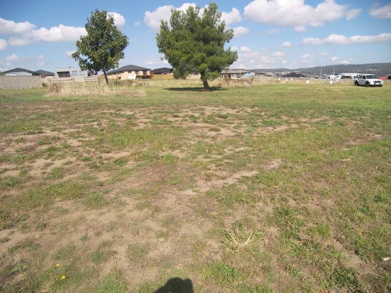 175 Alanvale Road, Newnham TAS 7248