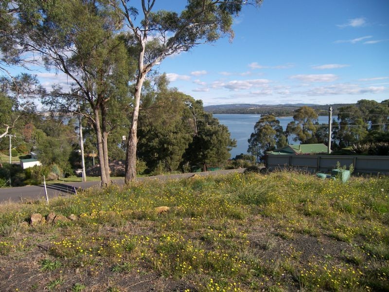 156 Hillwood Jetty Road, Hillwood TAS 7252