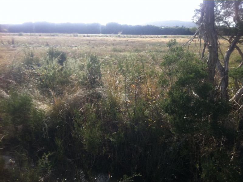 122 Anne Street, George Town TAS 7253