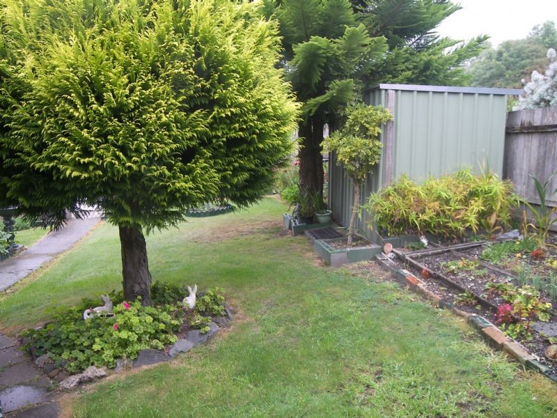 54 High Street, Beaconsfield TAS 7270