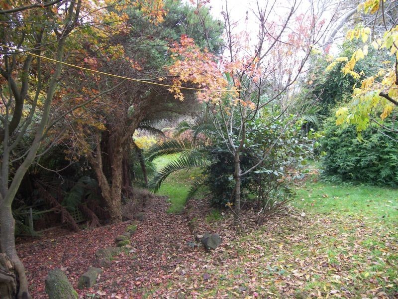 354 Gravelly Beach Road, Gravelly Beach TAS 7276