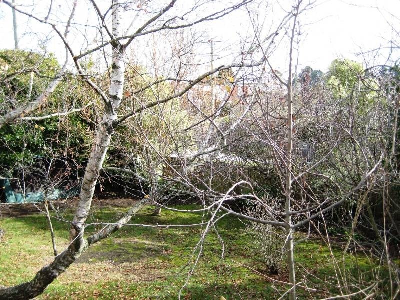 70 Brougham Street, West Launceston TAS 7250