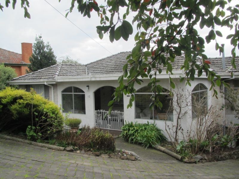 12 Newlands Street, Trevallyn TAS 7250