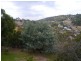 17 Quarry Road, West Launceston TAS 7250