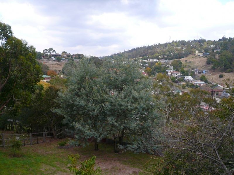 17 Quarry Road, West Launceston TAS 7250