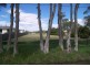 908 Windermere Road, Windermere TAS 7252