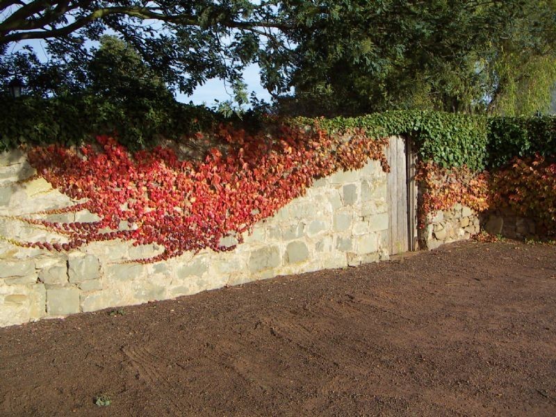 12819 Midlands Highway, Cleveland TAS 7211