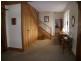 137 Elphin Road, Newstead TAS 7250