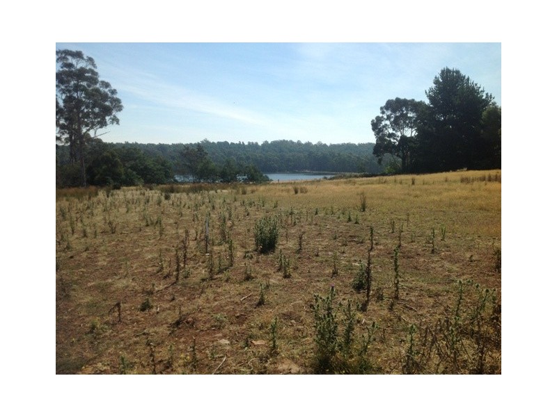 Lot 5 Berne Court, Grindelwald TAS 7277