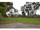 16 Cromwell Street, Perth TAS 7300