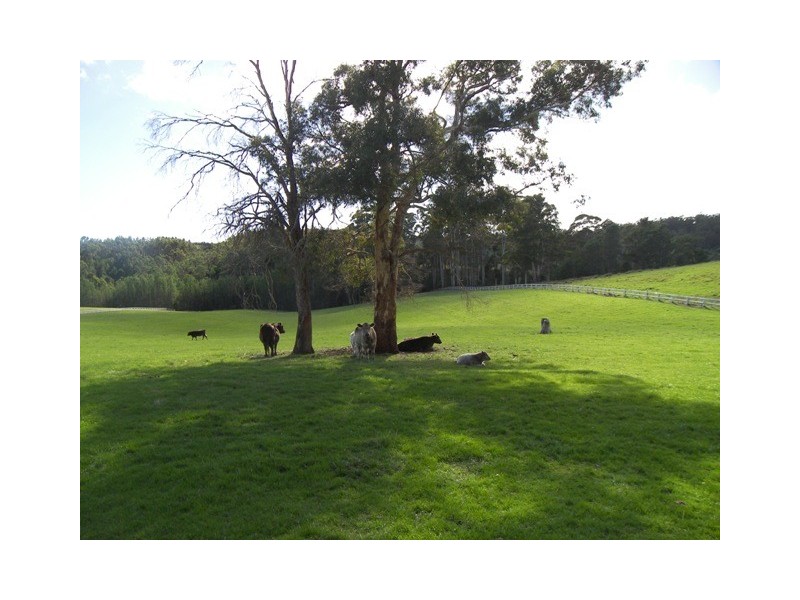 32 Fowlers Road, Lilydale TAS 7268