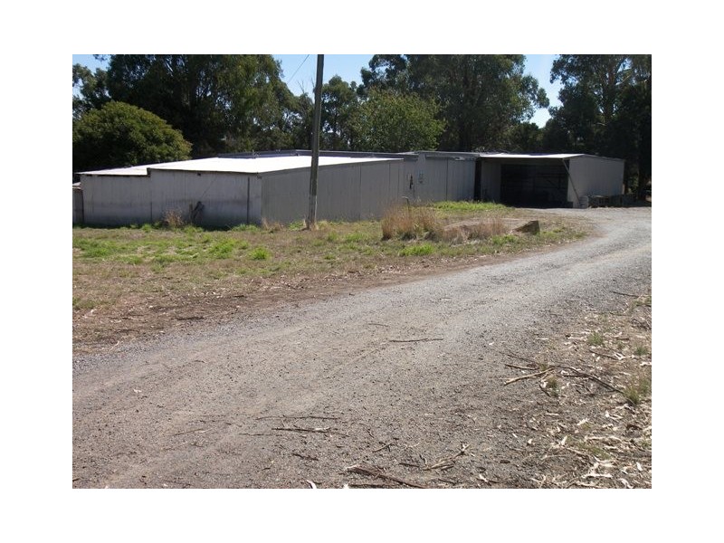 1521 Illawarra Rd, Carrick TAS 7291