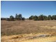 1521 Illawarra Rd, Carrick TAS 7291