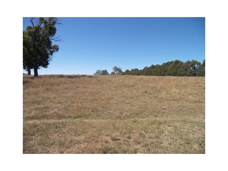 1521 Illawarra Rd, Carrick TAS 7291