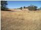 1521 Illawarra Rd, Carrick TAS 7291