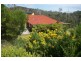 83 Bayview Drive, Blackstone Heights TAS 7250