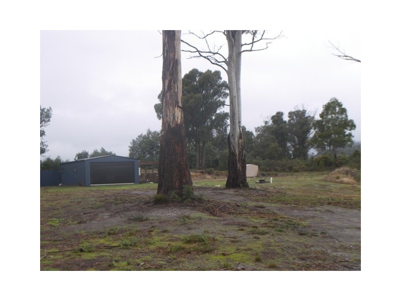 55 Winkleigh Road, Exeter TAS 7275
