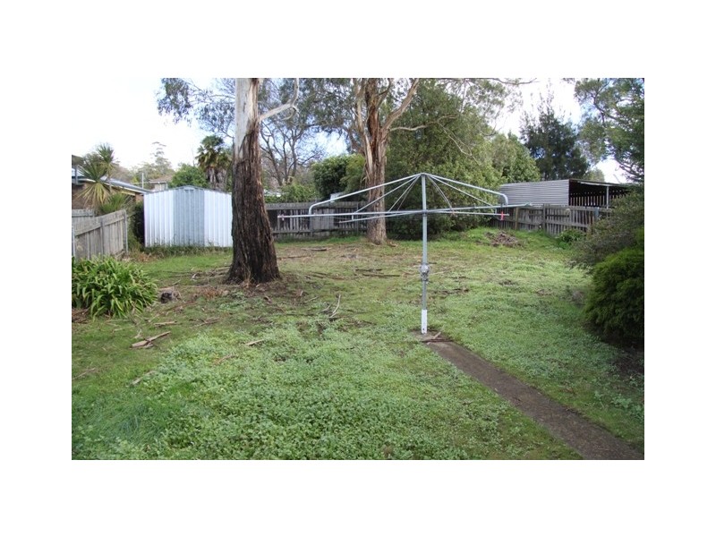 38 New World Avenue, Trevallyn TAS 7250