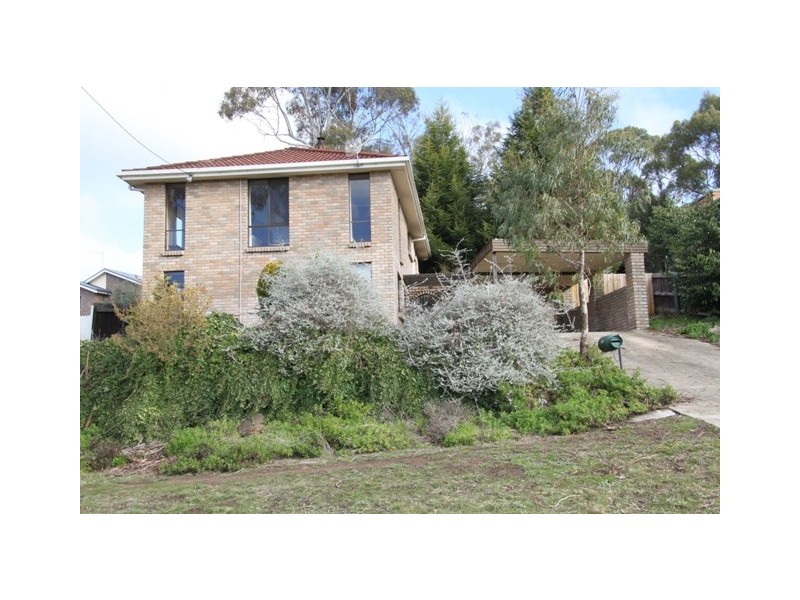 38 New World Avenue, Trevallyn TAS 7250