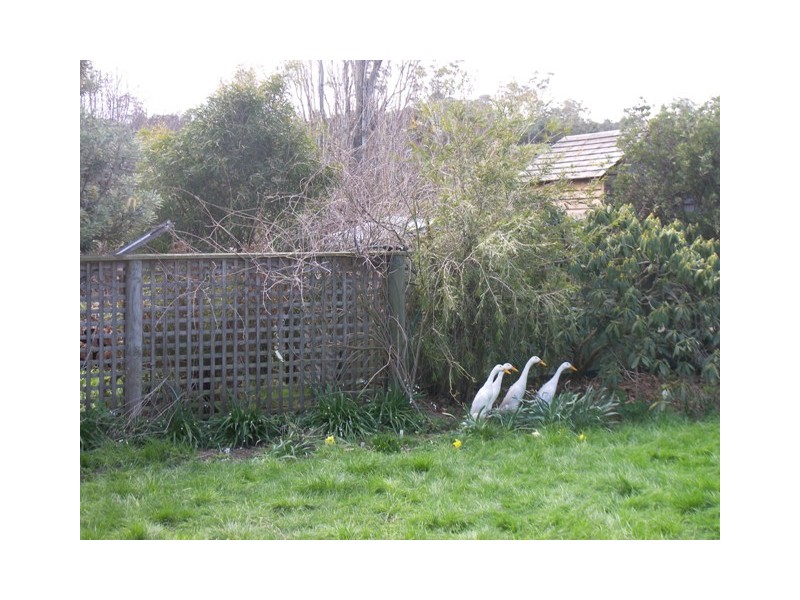 275 Vermont Road, Mowbray TAS 7248
